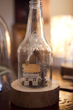 House in a Bottle