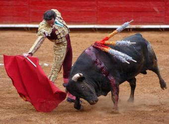 http://1.bp.blogspot.com/_M5p8AnoRE0U/Sm8YOyr8h7I/AAAAAAAACGw/JVvo2sFDTqQ/s400/corrida_toros.jpg