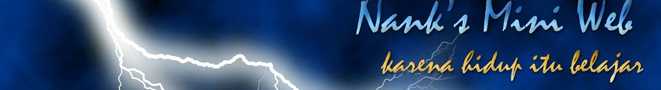 nank's mini web