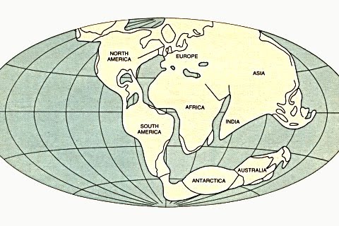 theory and proof of pangaea essay theory and proof of pangaea essay