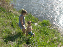THEY LOVE GOING DOWN TO THE RIVER AND STICKING THEIR PIGGYS IN...