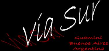 VIA SUR - Página oficial - Historia, imágenes, próximas fechas, videoclip, mp3