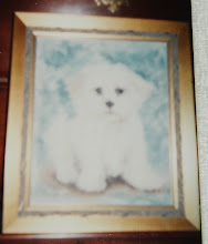 Fluffy