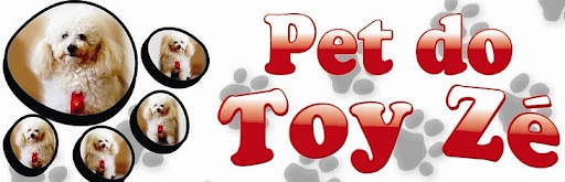 PET DO TOY ZÉ