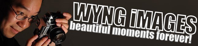 WYNG iMAGES - beautiful moments forever!