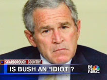 bush_idiot.jpg