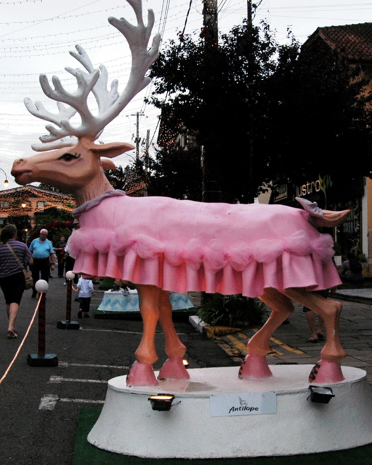 [GRAMADO+(5).JPG]