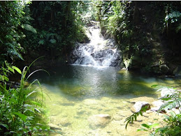 Reserva Natural Del Rio Barbas