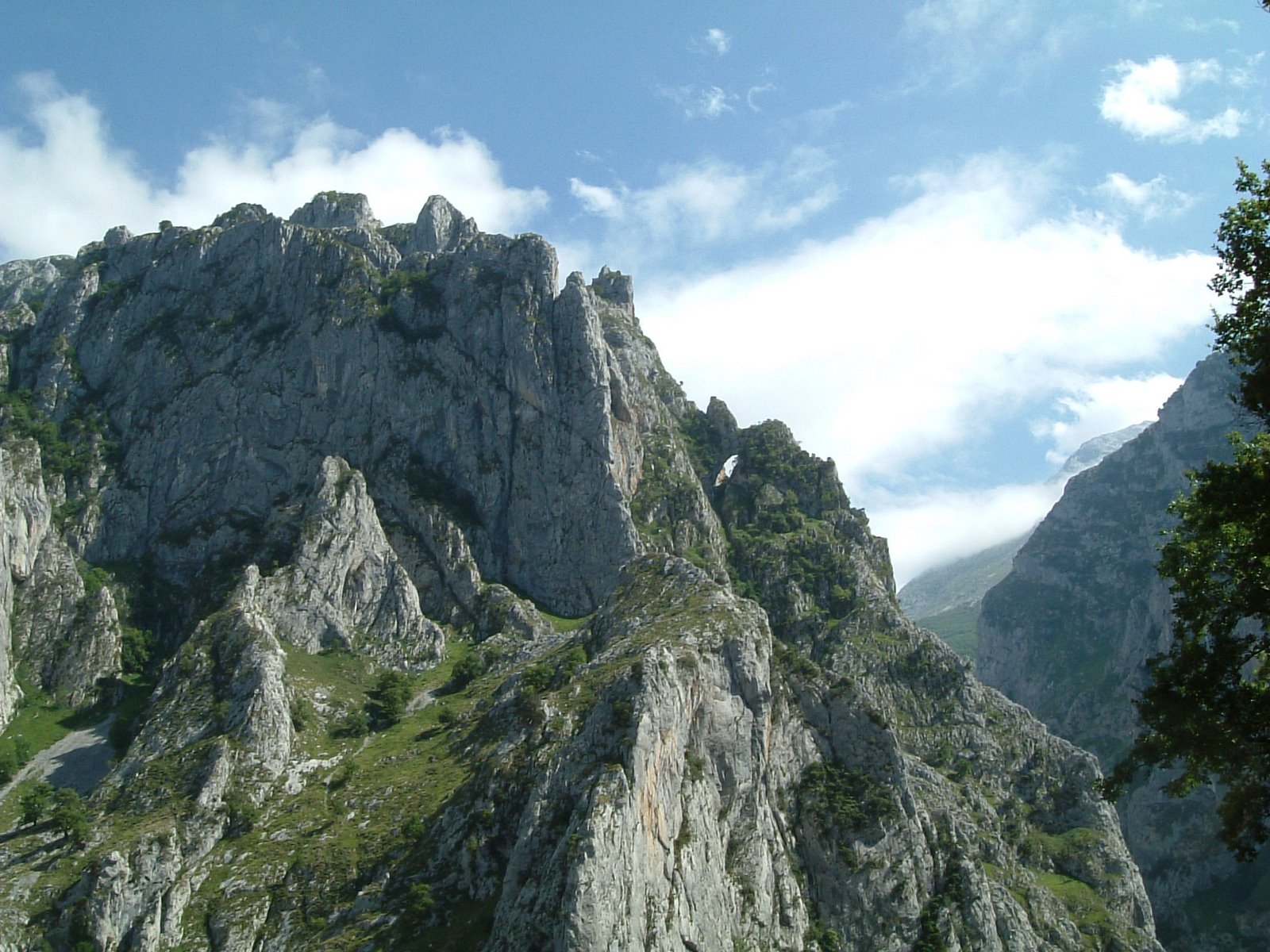 [vista+desde+camarmeña.JPG]