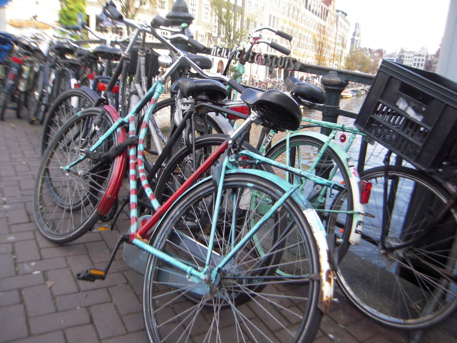 Learning Nederlands Bikes in Amsterdam