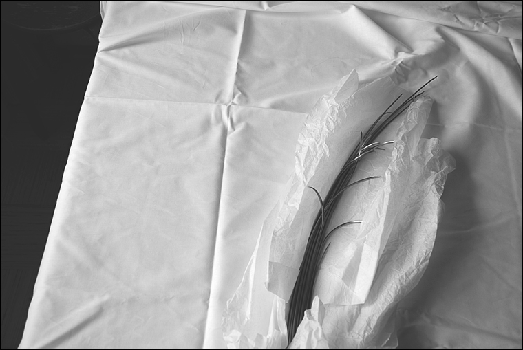 Pessoa (s): noviembre 2010