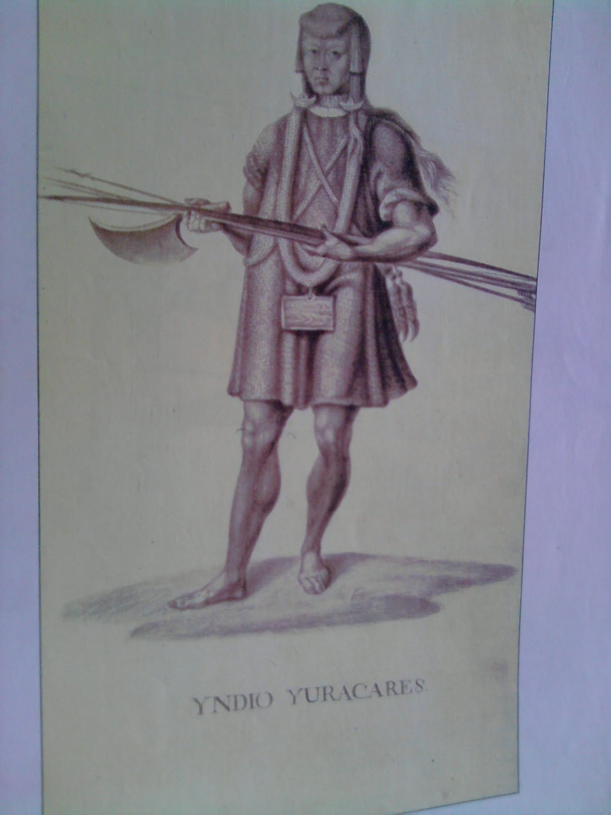 LAS TIERRAS DE MOXOS