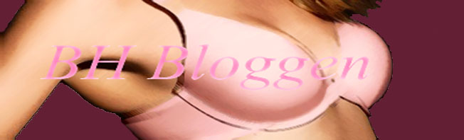 BH Bloggen