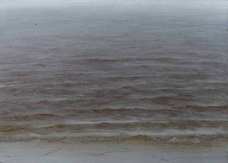 Sandy Pond Lores, by Lisa Lebofsky