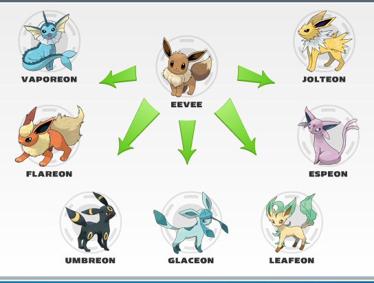 Evolution Pokemon : Eevee