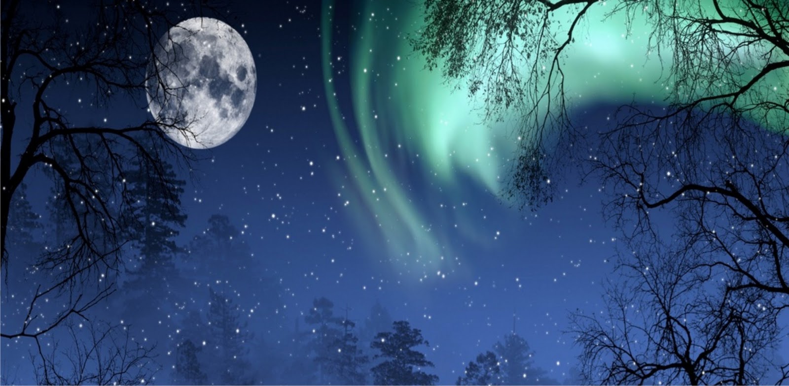 Paduri masini genuardis peisaje Daniel Roxin: Imagini de poveste… (video)