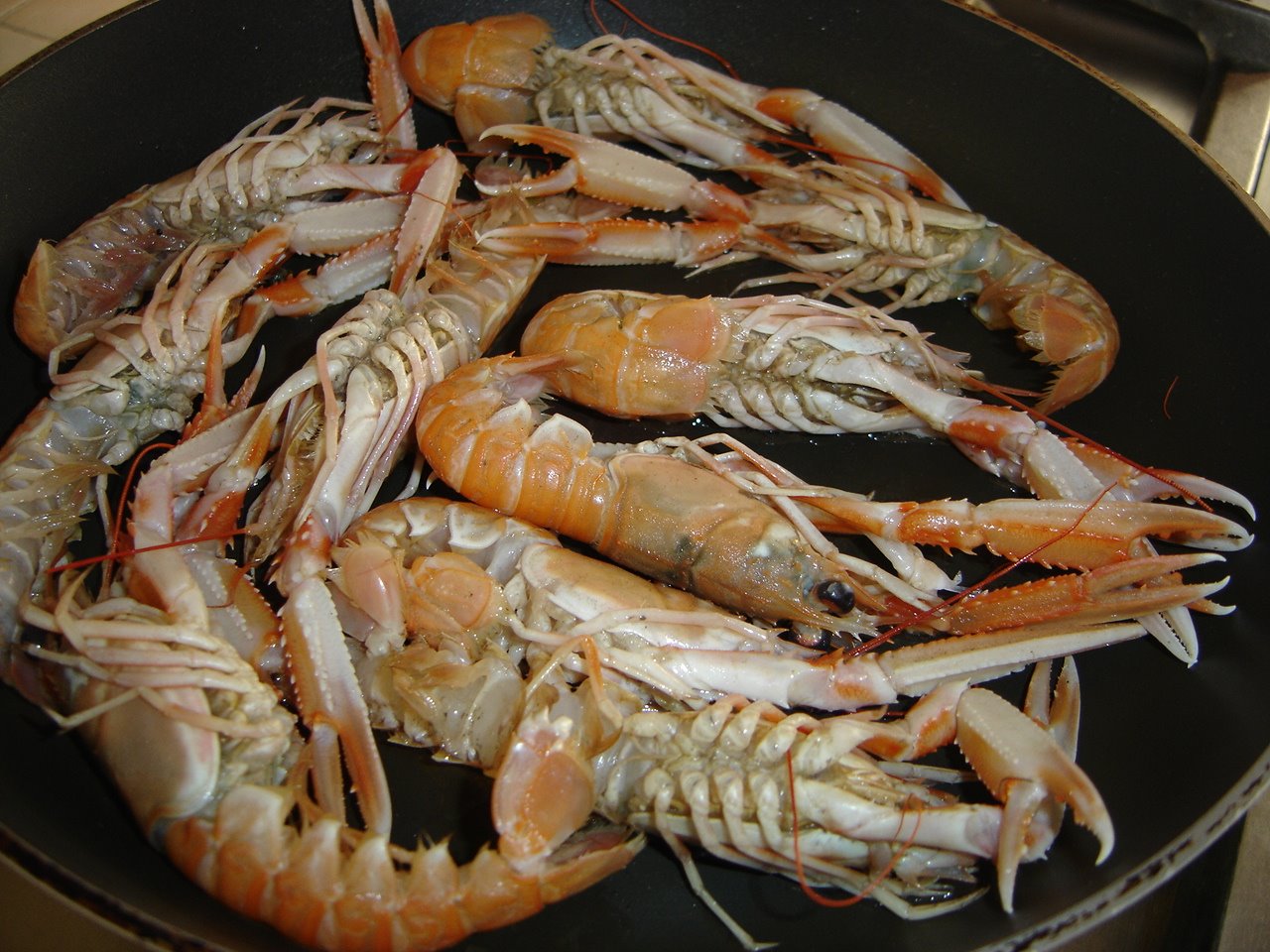 [DSC05244.JPG]