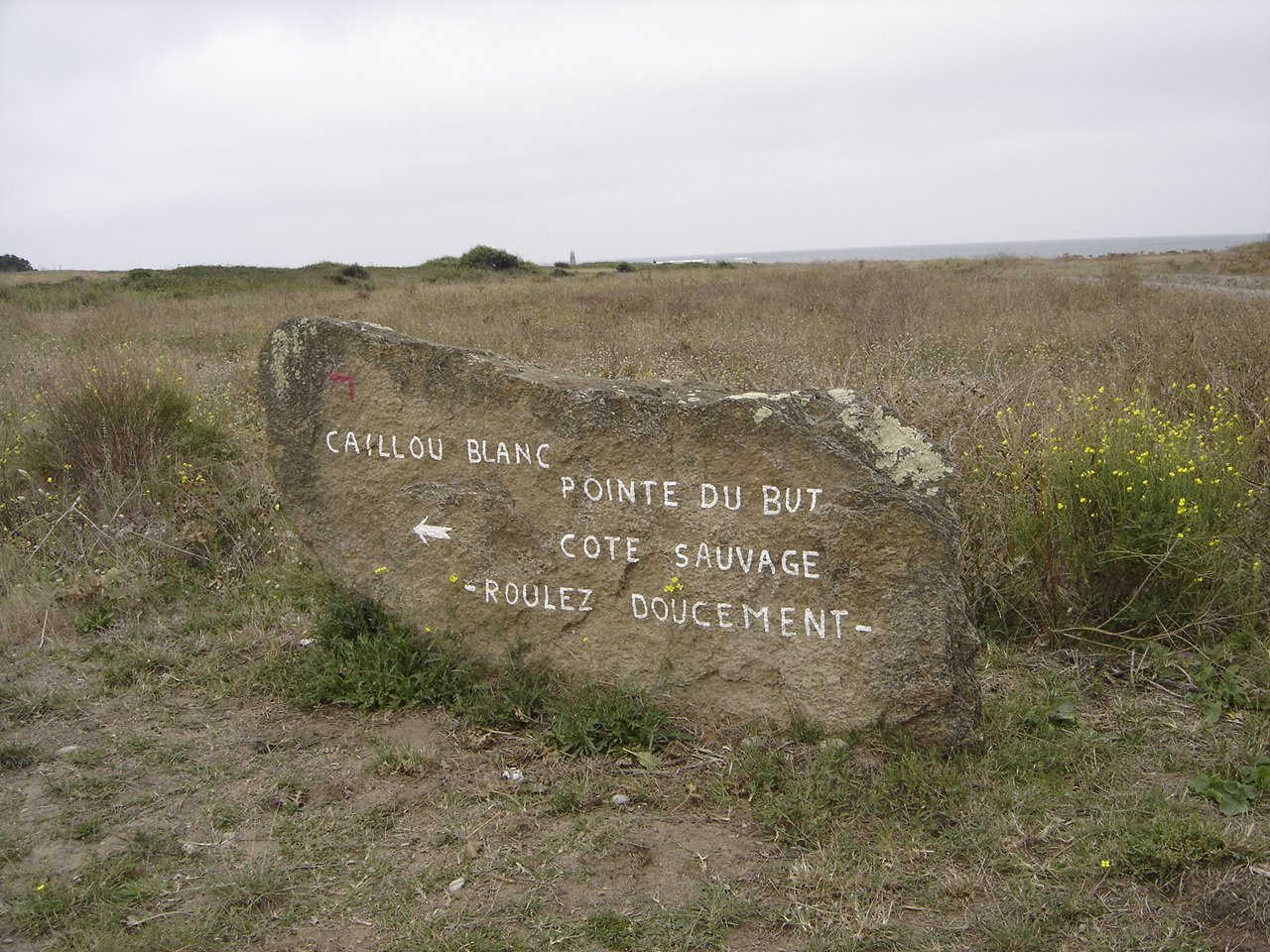 [DSC05408.JPG]