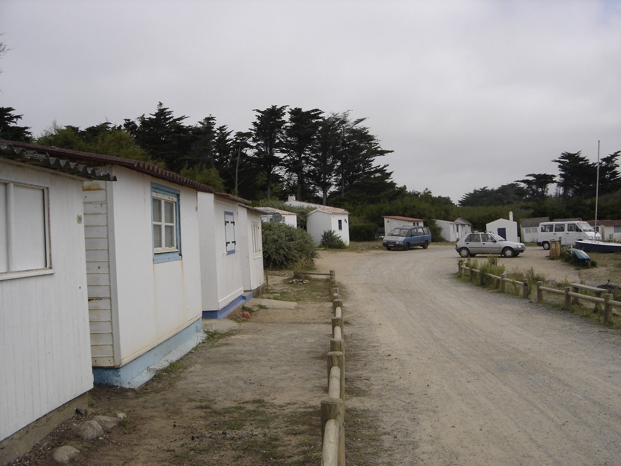 [DSC05437.JPG]