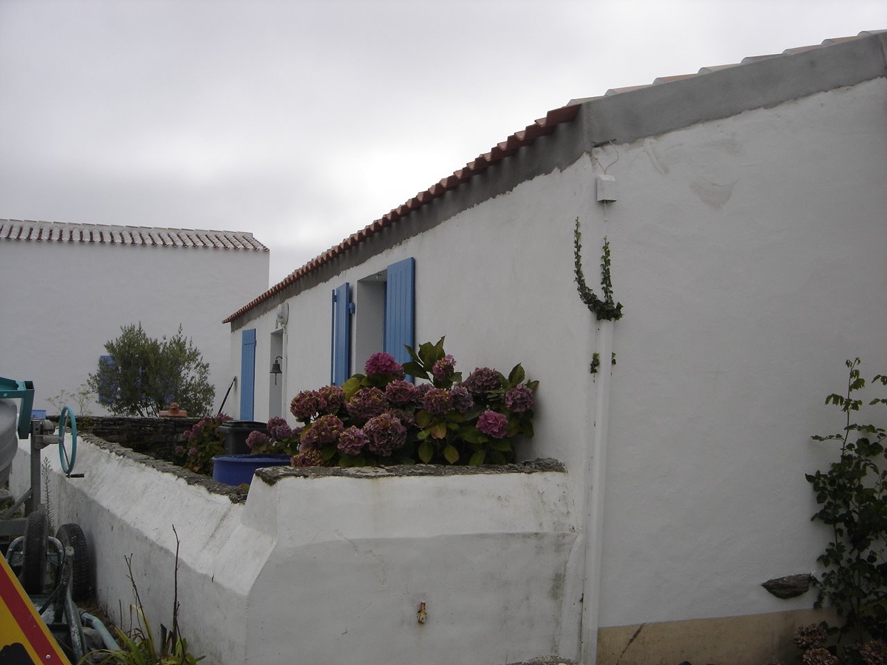 [DSC05451.JPG]