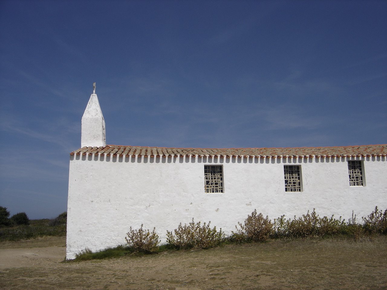 [DSC05479.JPG]