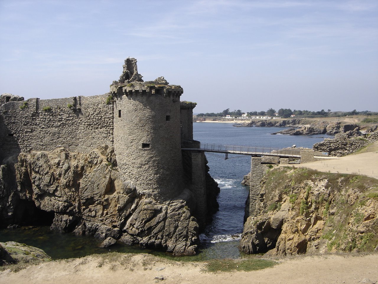 [DSC05501.JPG]