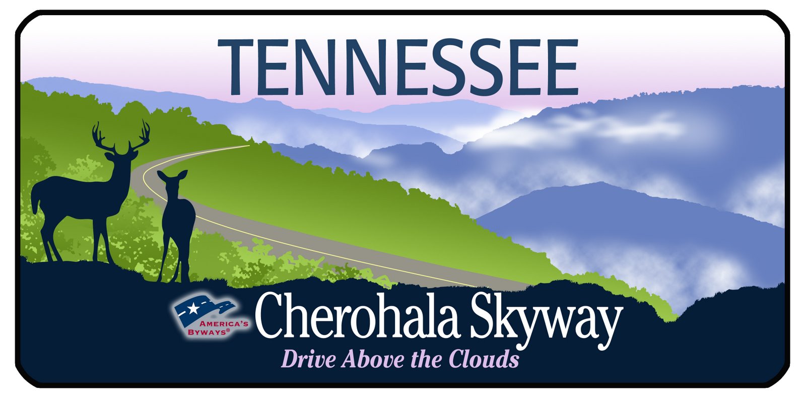 [SkywayLicenseDesign.jpg]