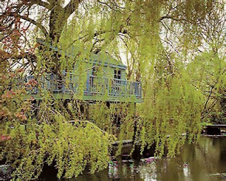 Up and up on the tree house  bsplendid