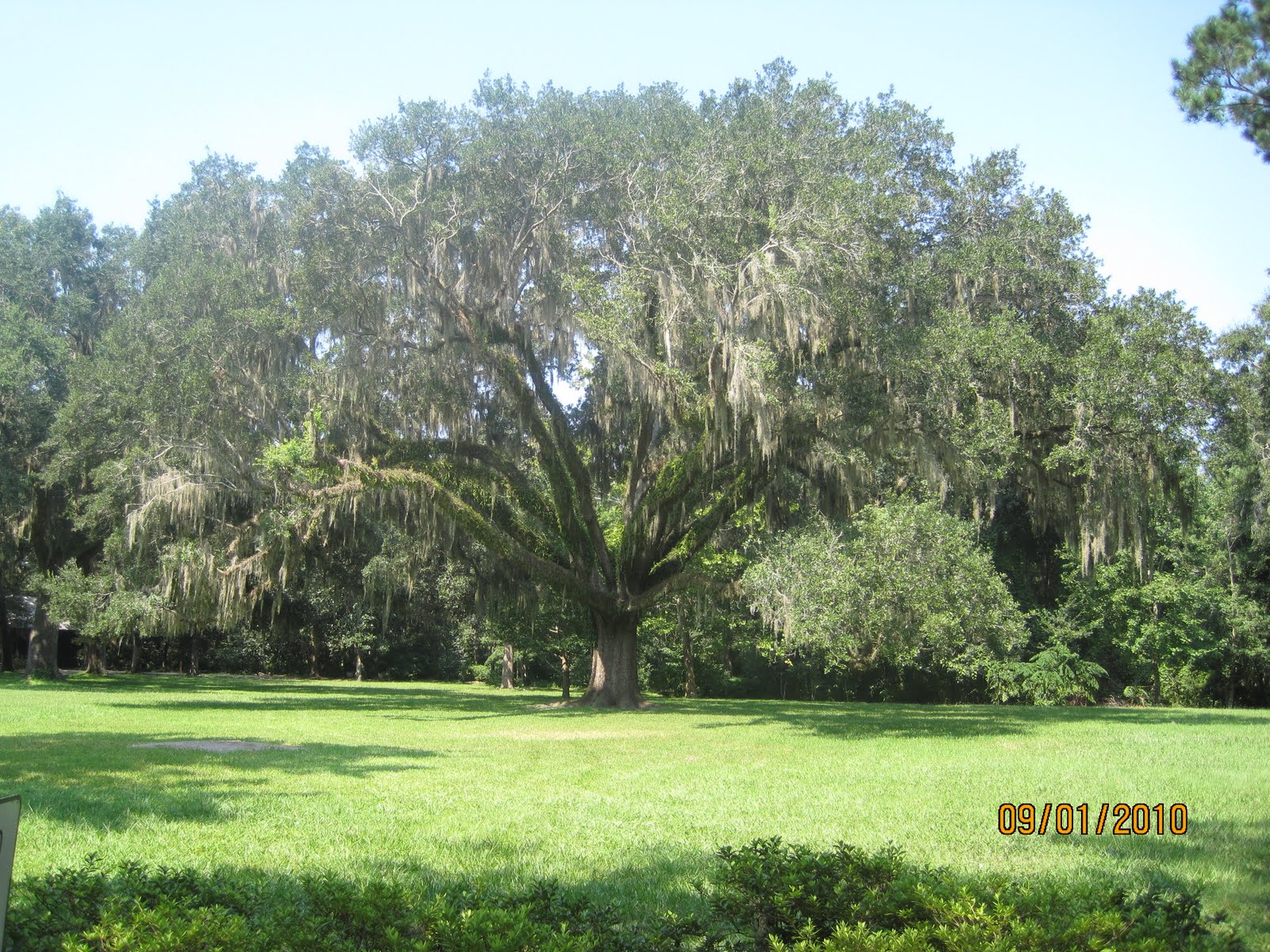 Pretty Old Houses: Eden Gardens State Park