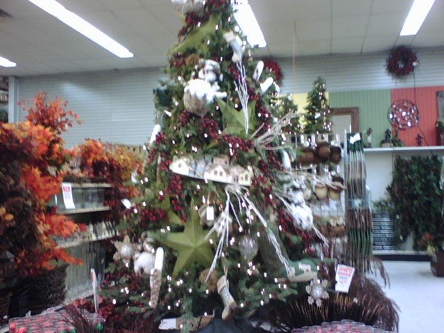 Star Tree at Porters Crafts