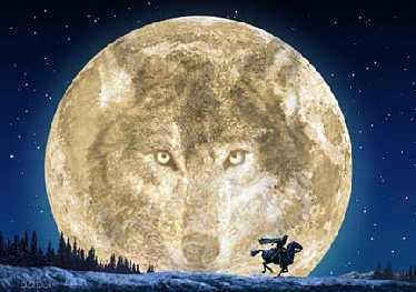 [wolfmoon.jpg]