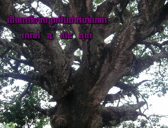 Teal Tree planted by Governor Son Kuy before he was beheaded
