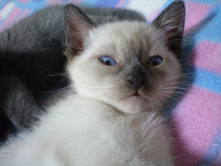 [21_pics_ziza-768119.jpg]