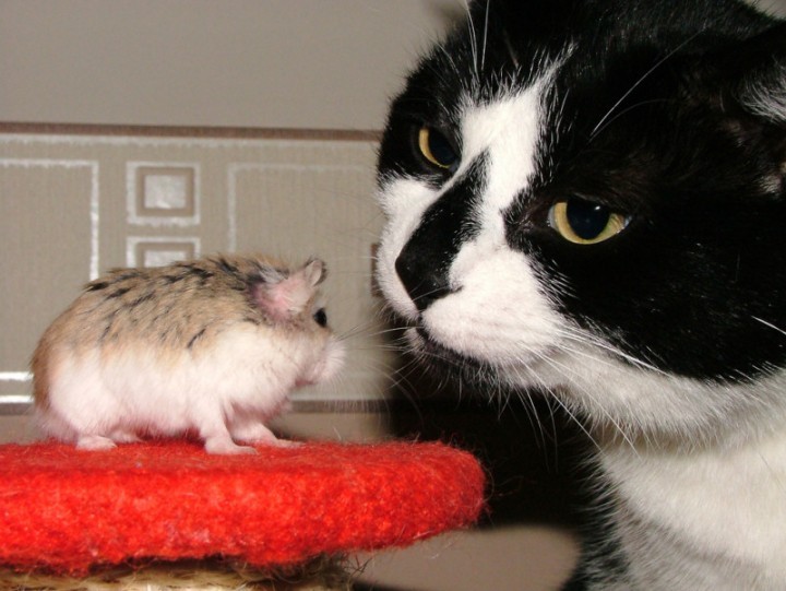 [02_pics_ziza-777860.jpg]