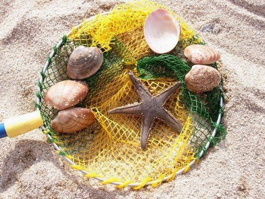 [45_pics_ziza-777476.jpg]