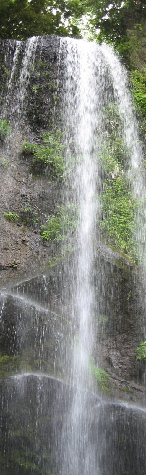 [01_pics_ziza-708306.jpg]