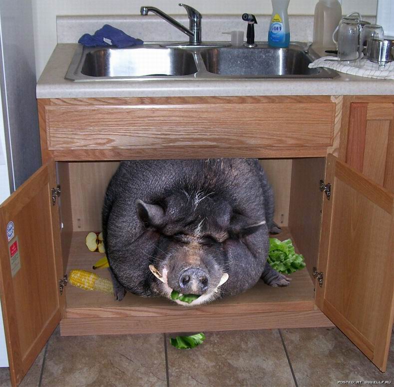 [flinst_07-735287.jpg]