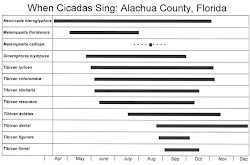 Time of the Year That Adults of Each Species Can be Found in Florida.