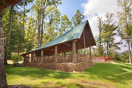 The Smokies Blog Rare Synchronizing Fireflies Find Confirmed In