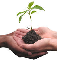 PROYECTO MUNDIAL RESPIRA PLANETA