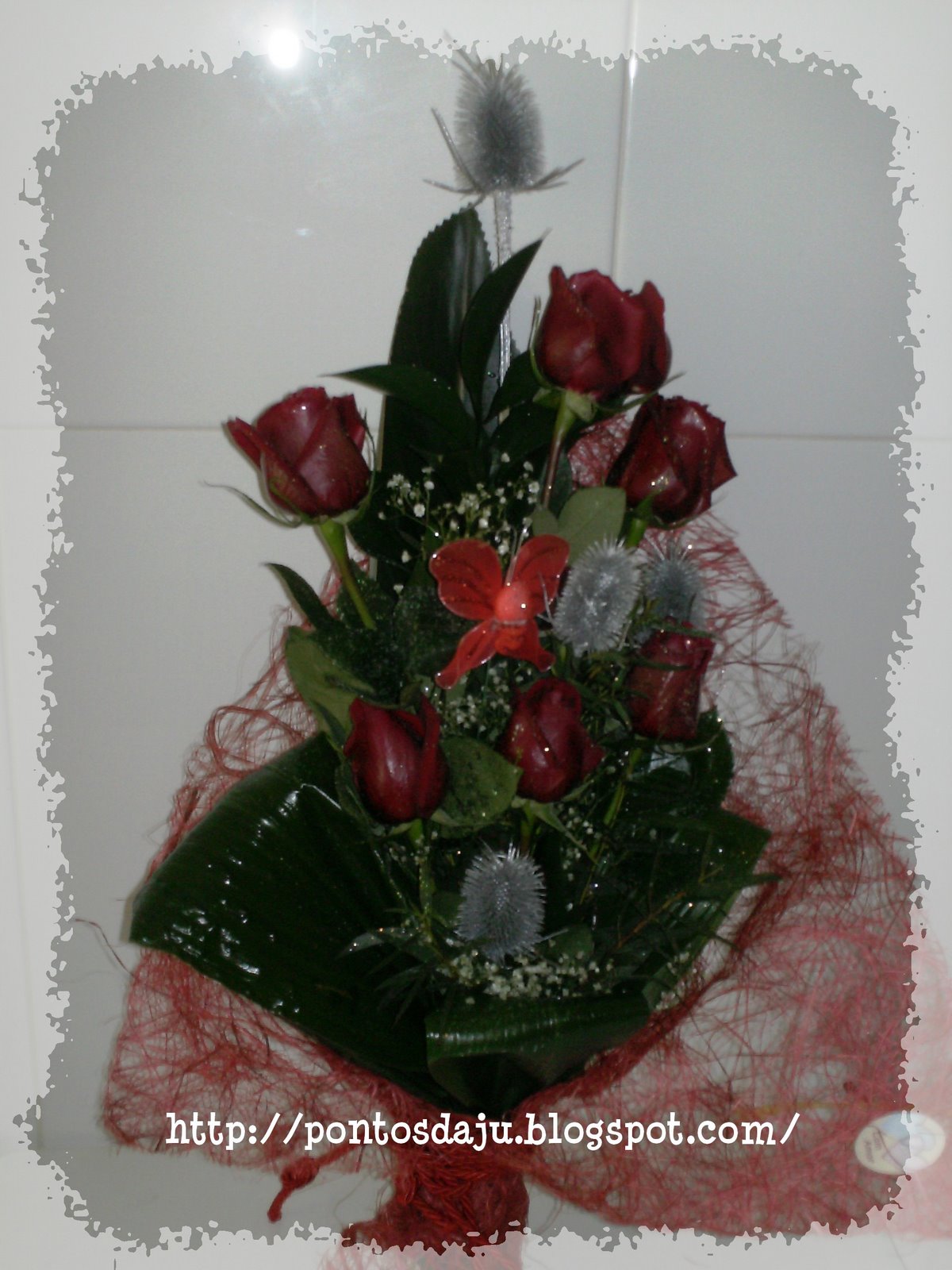 [PICT0148.JPG]