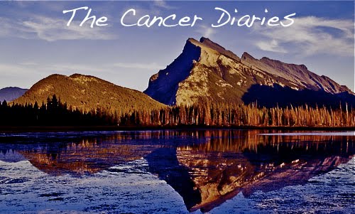 The Cancer Diaries