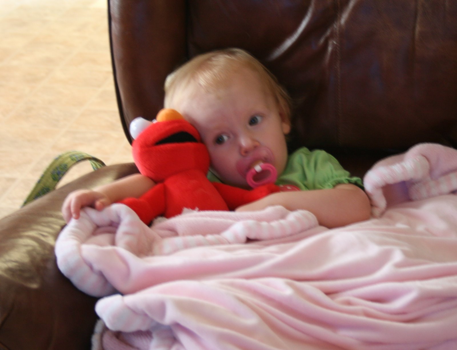 [Elmo.jpg]