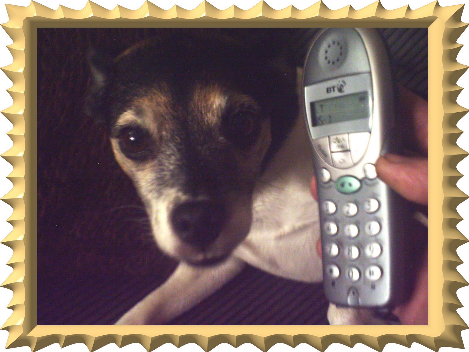 [Phonecall+for+Penny.jpg]
