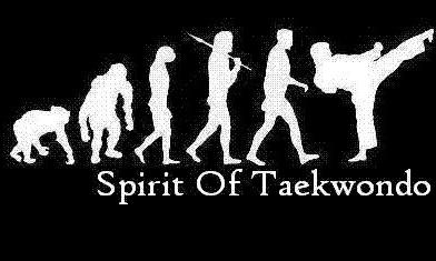 Spirit of Taekwondo