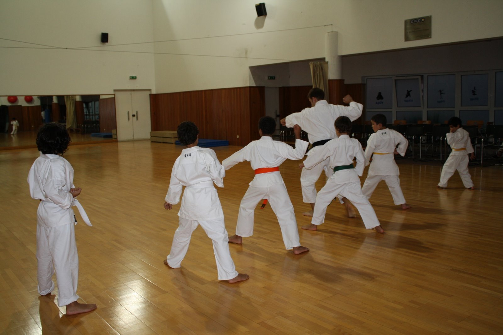 [IMG_1232.JPG]
