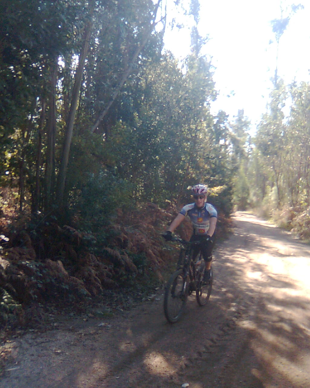 [Nokia005.jpg]