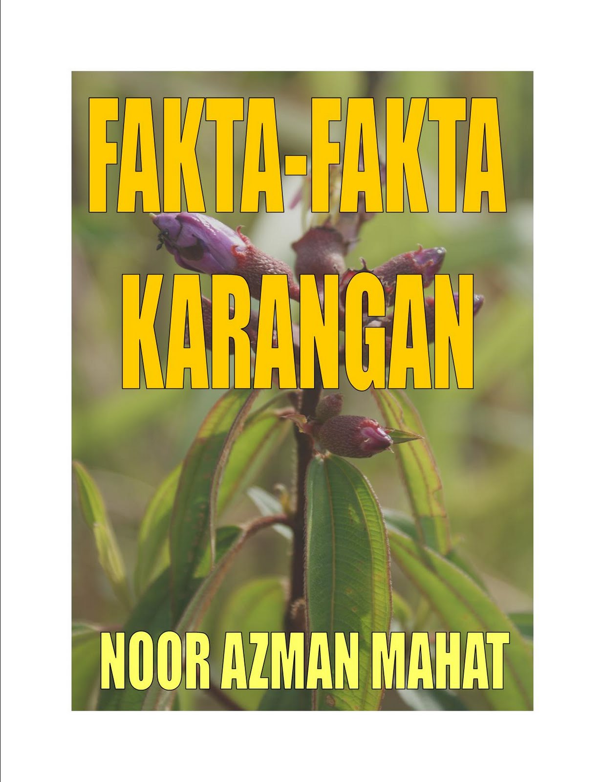 [COVER+FAKTA+KARANGAN.jpg]