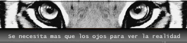 Desármame por completo.