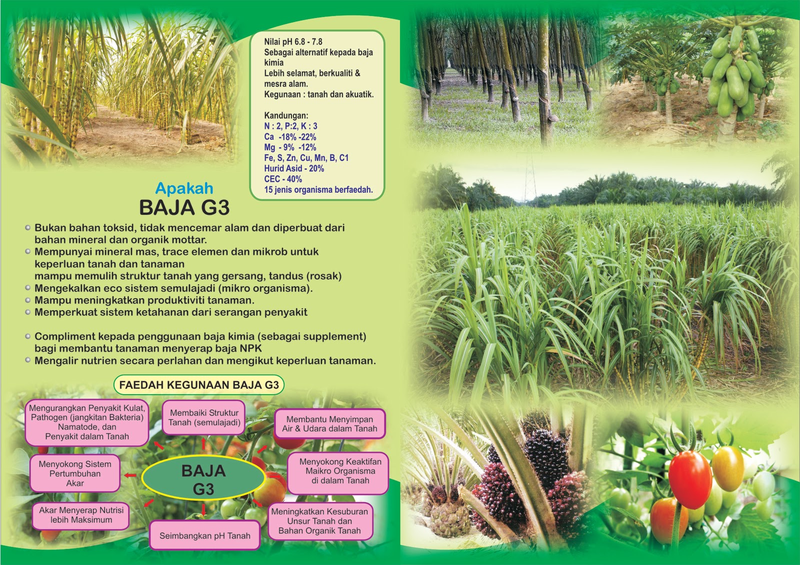 kilang baja organik g3 flyers baja organik g3 baja flyers